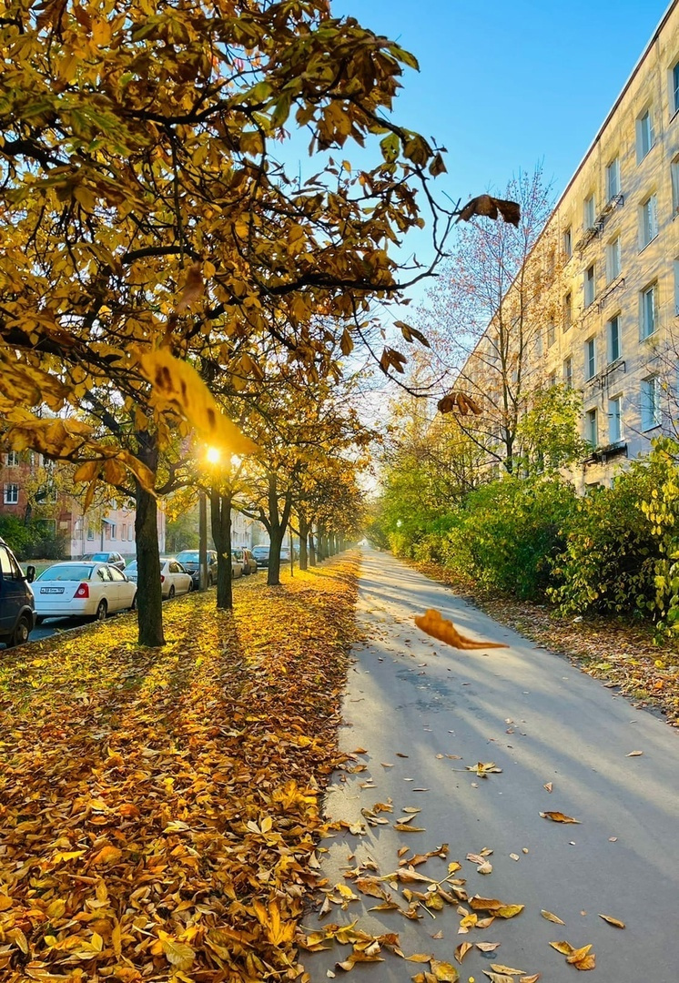Фотоконкурс «Золотая осень в Санкт-Петербурге»