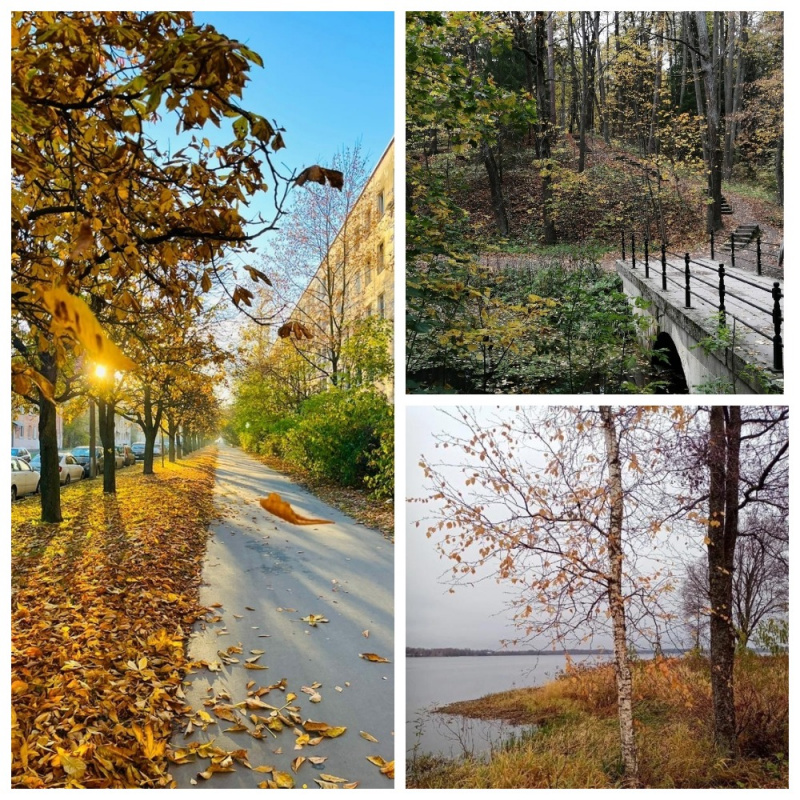 Подведение итогов конкурса фотографий – «Золотая осень в Санкт-Петербурге»