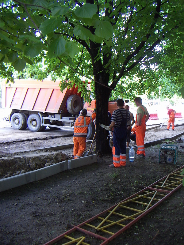 Закон о защите внутриквартальных зеленых насаждений вблизи 