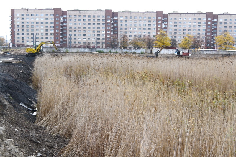 Завершается подготовка стройплощадки ФОКа