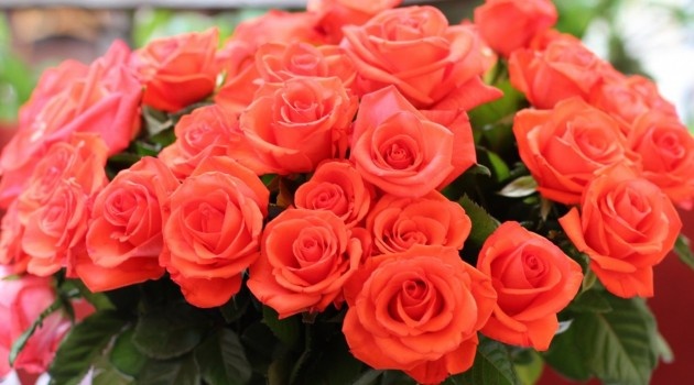 С Днем матери!