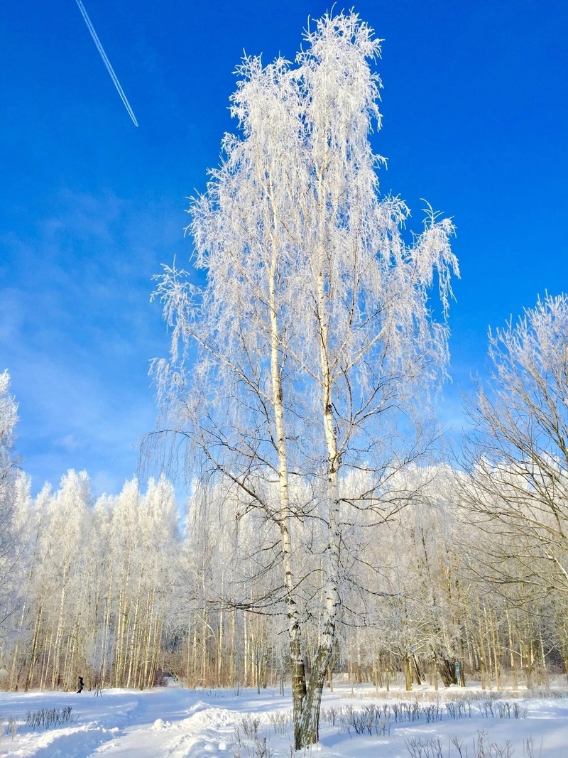 Конкурс фотографии «Сказочная зима»