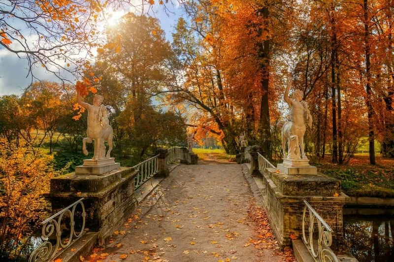 Фотоконкурс «Золотая осень в Санкт-Петербурге»