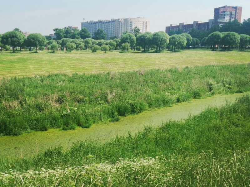 Жители 18 избирательного округа обеспокоены неудовлетворительным состоянием реки Ивановки (Красносельский р-н).