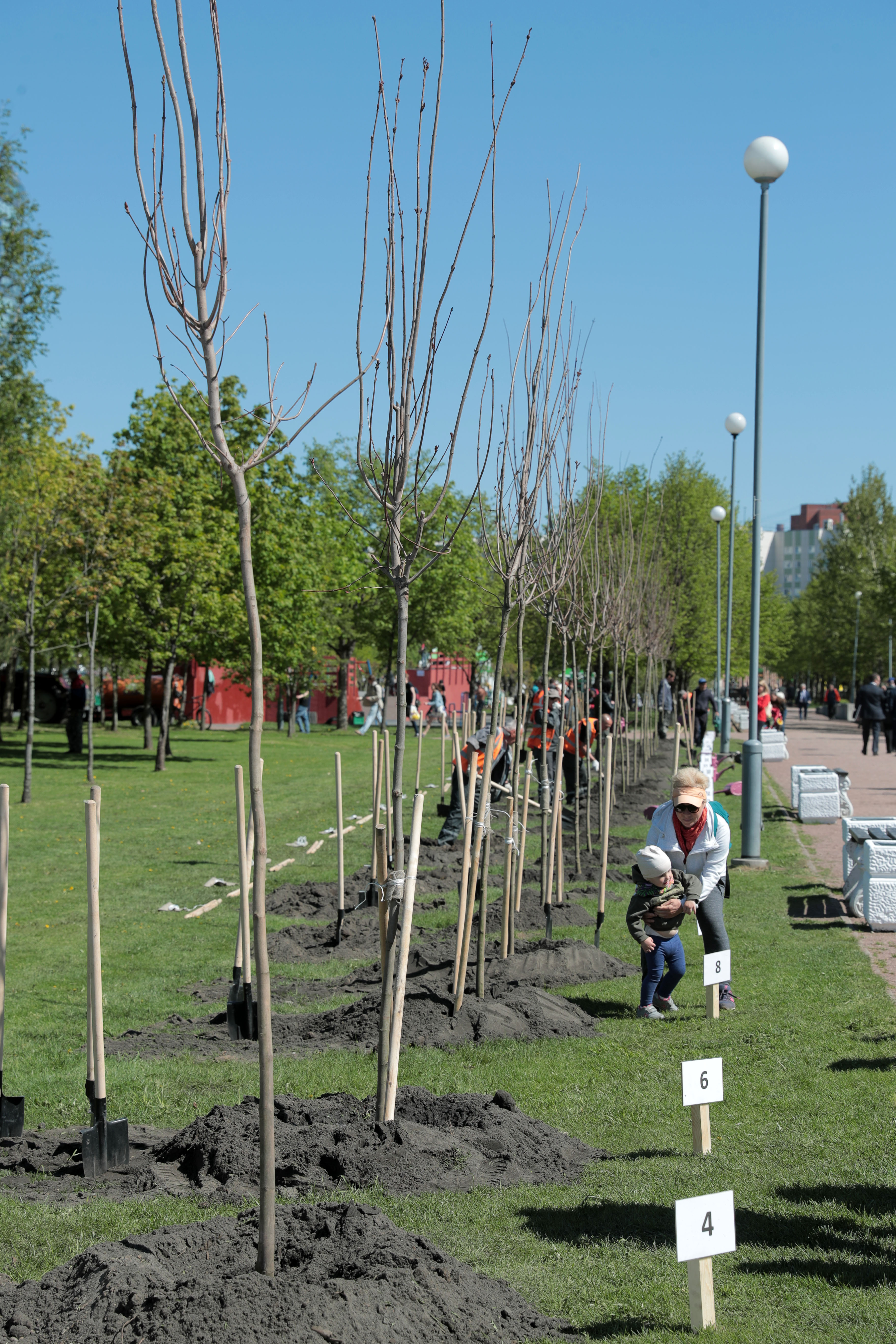 В парке 300-летия Санкт-Петербурга заложили Аллею парламентаризма